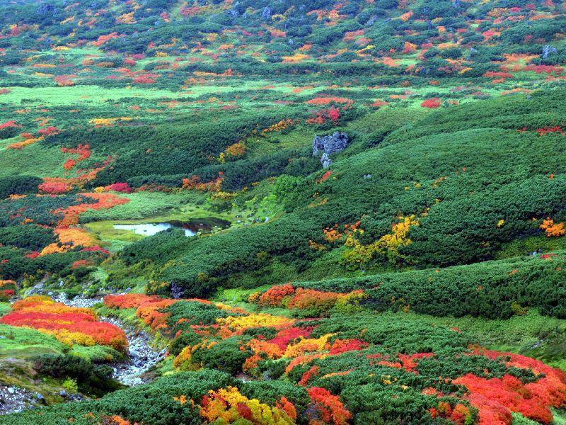Asahidake Yumoto Yukomanso Higashikawa Dış mekan fotoğraf